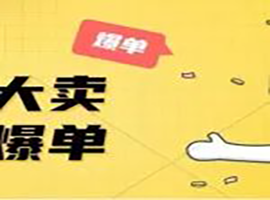 “黑五”大卖 “网一”爆单！